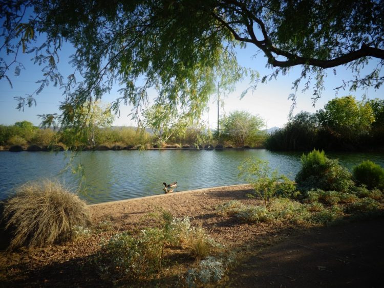 4 Essential Walks For Phoenicians - PHX Fray